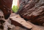 PICTURES/Burr Trail/t_Slot Canyon - Looking Out8.JPG